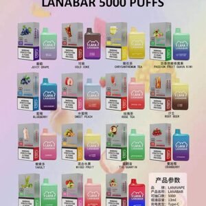 【LANA】大容量/拋棄式5000口電子煙/台灣現貨原裝正品