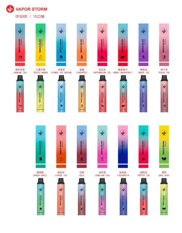VAPOR STORM 5000口拋棄式電子煙|多口味選擇|大容量煙油|便攜型設計:圖片 3
