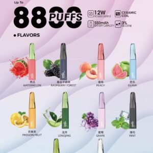 鴨嘴獸Chill 8800口抛棄式/一次性電子煙 全球爆款