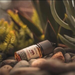 美國 RIPE VAPES 生命之樹 30ML小煙油 經典煙草 聖胡安雪茄