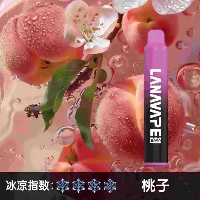 LANA ZOLT 8000puff 一次性電子煙 | 大容量 可充電:圖片 16