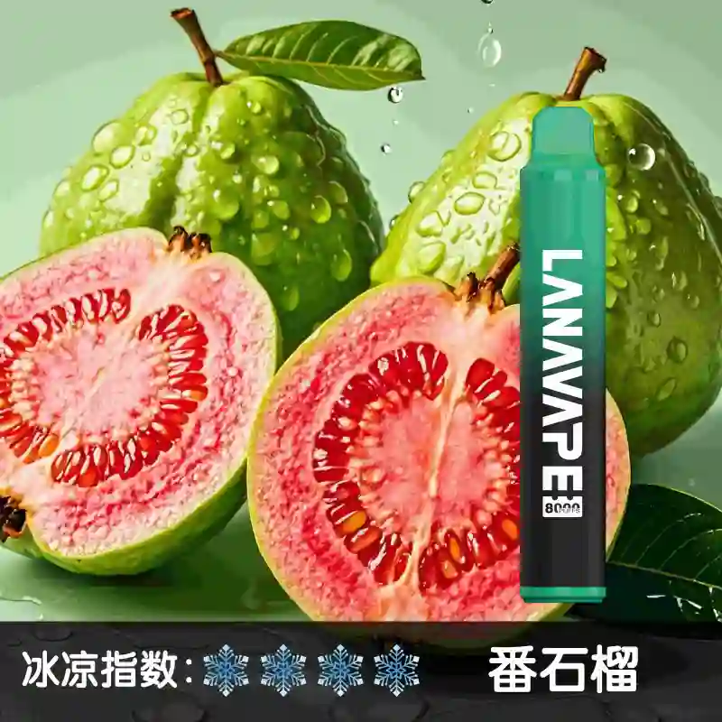 LANA ZOLT 8000puff 一次性電子煙 | 大容量 可充電:圖片 5