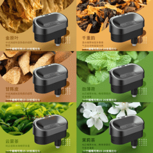 YE VAPE 適用WONZ主機 WONZ 溫致 獨立包裝2入裝 濾嘴